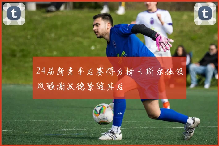 24届新秀季后赛得分榜卡斯尔独领风骚谢泼德紧随其后