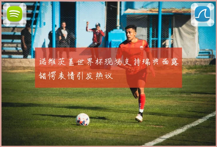 诺维茨基世界杯现场支持瑞典面露错愕表情引发热议