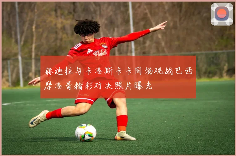 赫迪拉与卡洛斯卡卡同场观战巴西摩洛哥精彩对决照片曝光