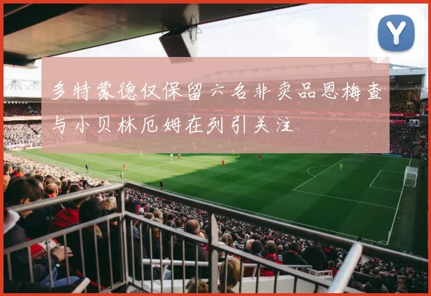 多特蒙德仅保留六名非卖品恩梅查与小贝林厄姆在列引关注